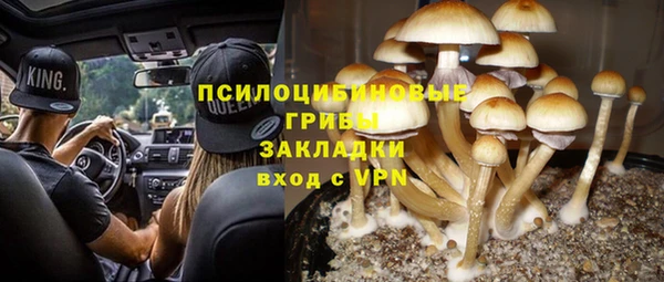 дживик Алзамай